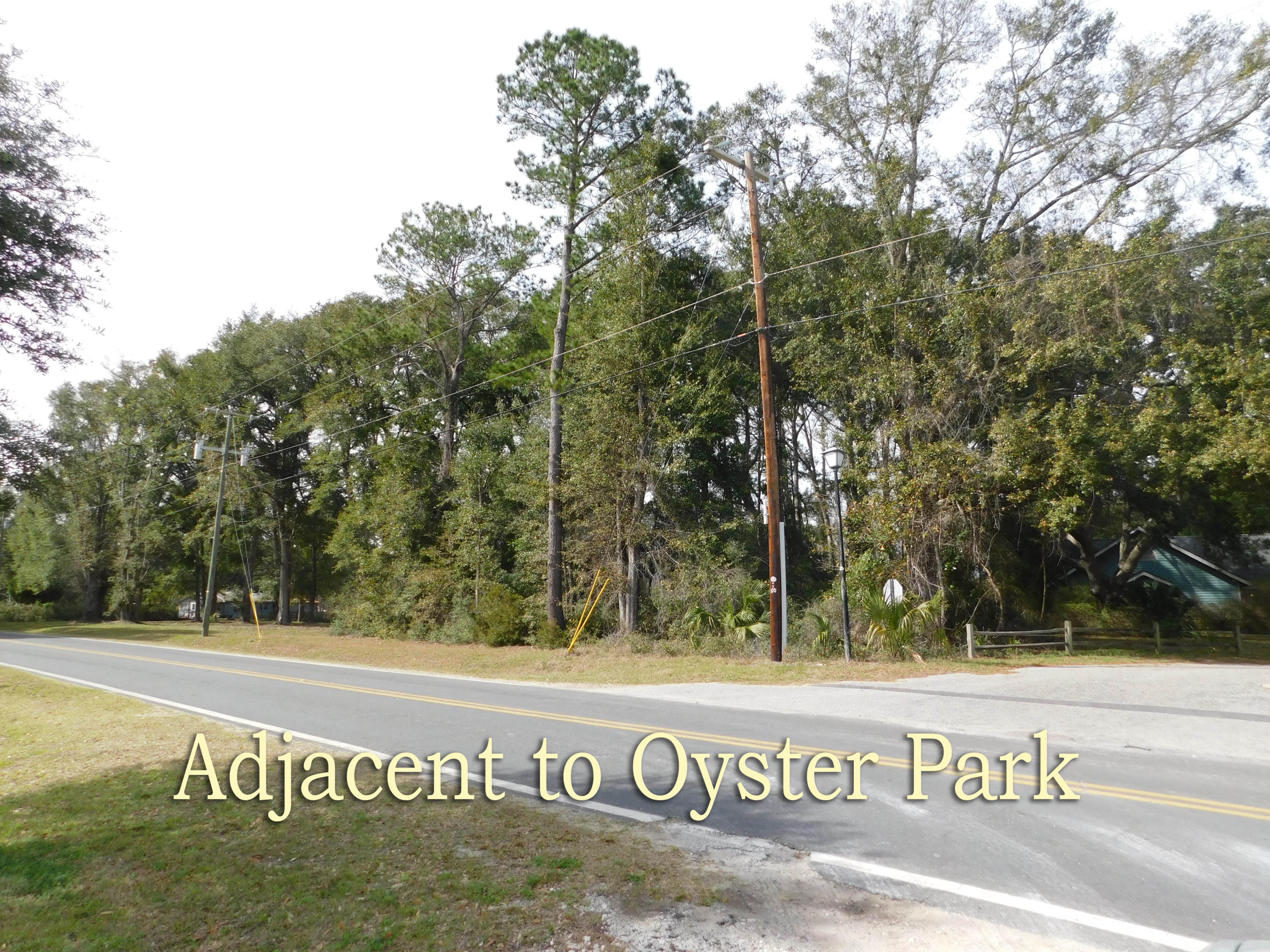 0 Oyster Factory Road Edisto Island, SC 29438 - Photo 3 of 8 DSCN0449