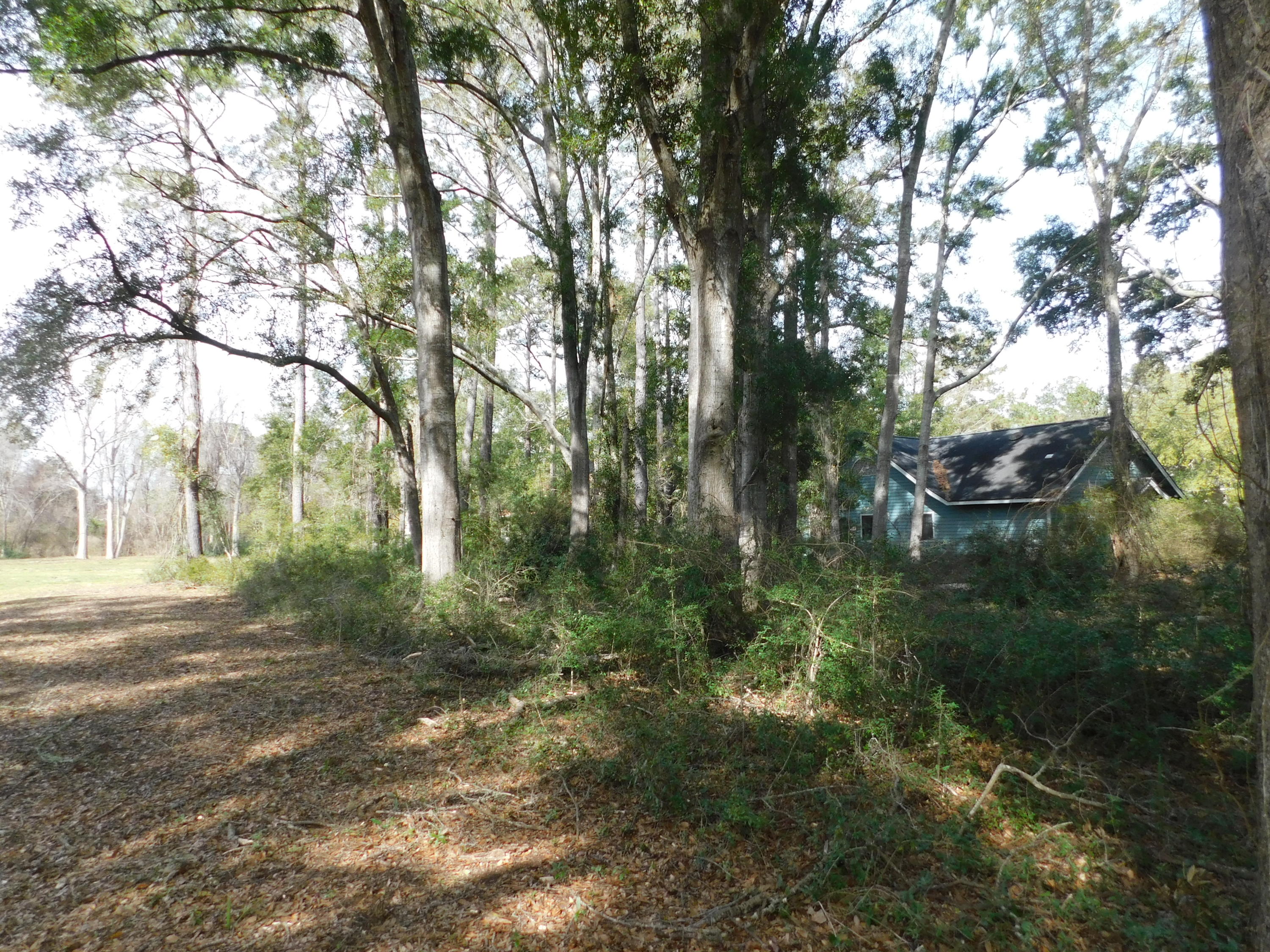0 Oyster Factory Road Edisto Island, SC 29438 - Photo 5 of 8 DSCN0441