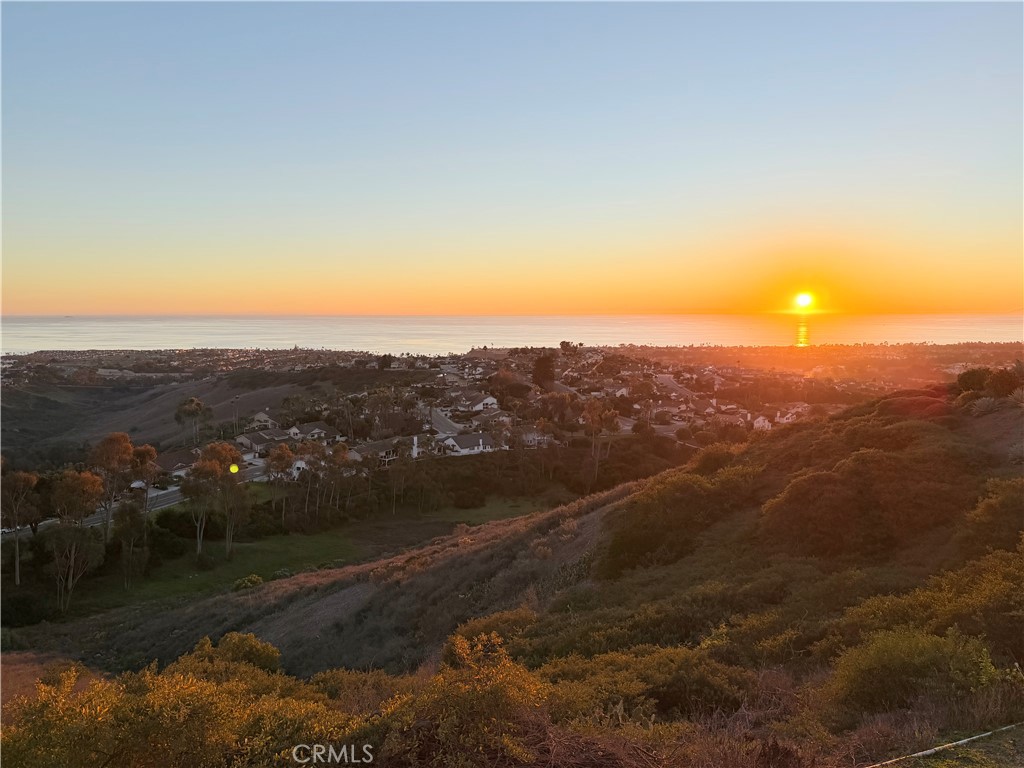 2945 Via Blanco San Clemente, CA 92673 - Photo 1 of 60 a view of city and mountain