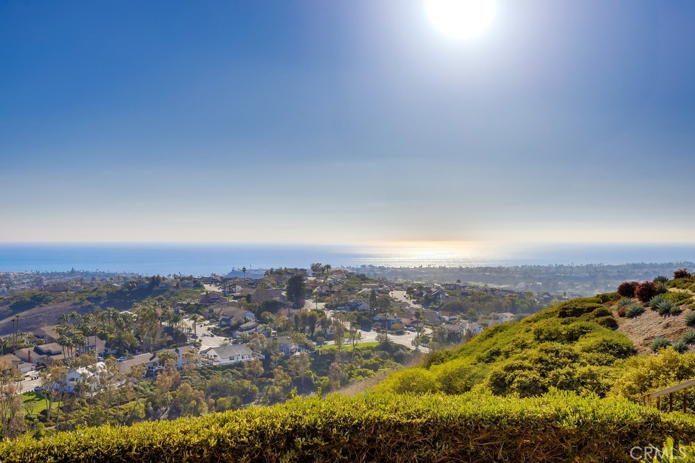 2945 Via Blanco San Clemente, CA 92673 - Photo 2 of 60 an aerial view of residential house and ocean