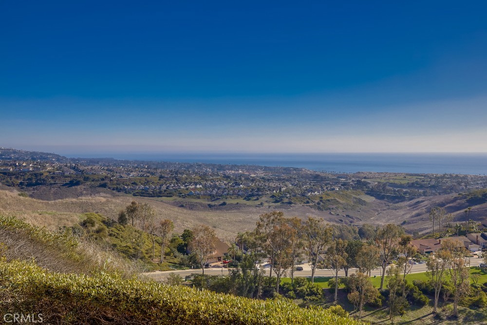 2945 Via Blanco San Clemente, CA 92673 - Photo 60 of 60 a view of lake with city