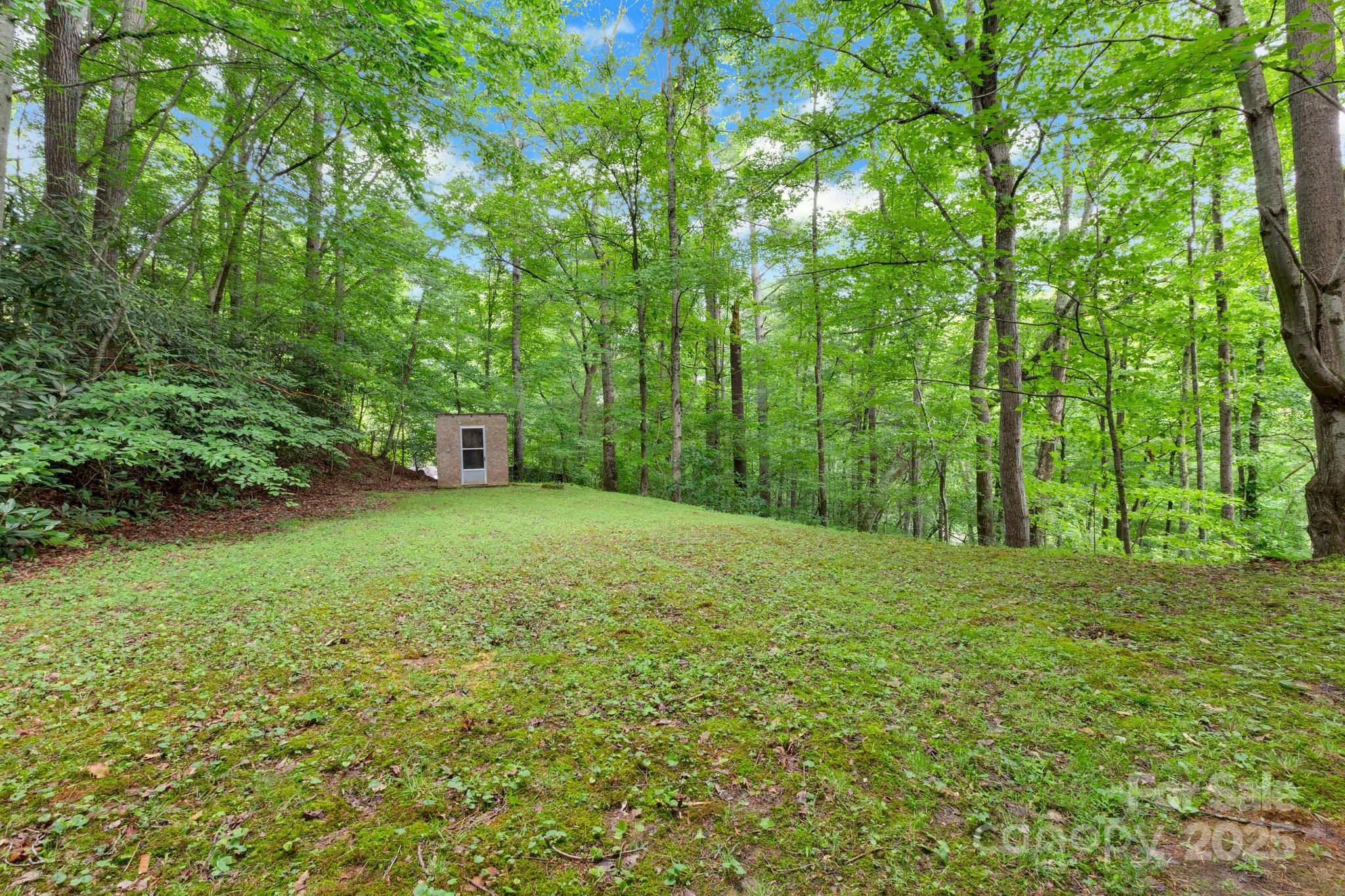 137 Flynn Branch Road Asheville, NC 28804 - Photo 36 of 48 Gallery Image 36