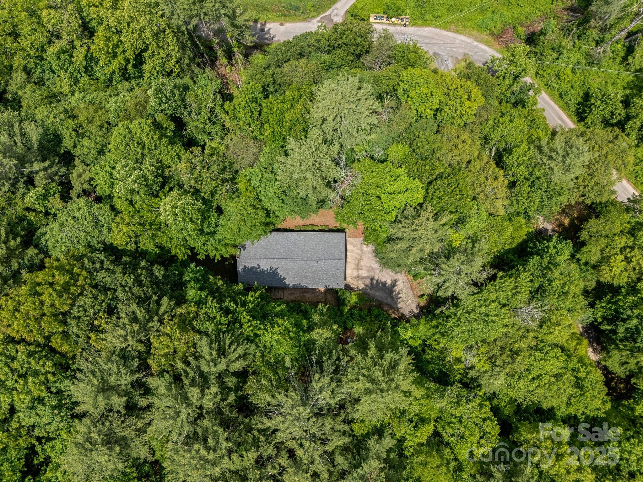 137 Flynn Branch Road Asheville, NC 28804 - Photo 45 of 48 Gallery Image 45