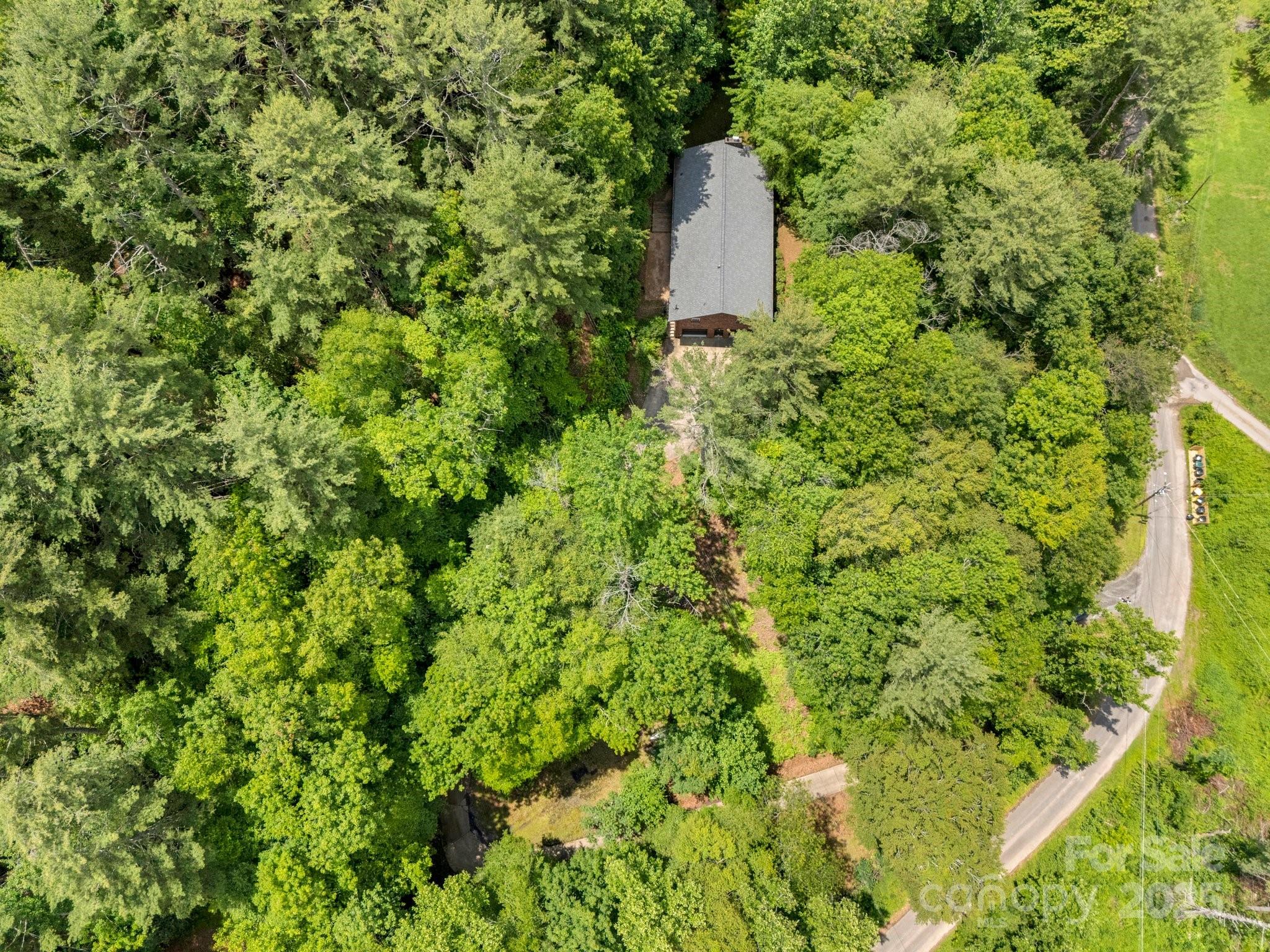137 Flynn Branch Road Asheville, NC 28804 - Photo 46 of 48 Gallery Image 46