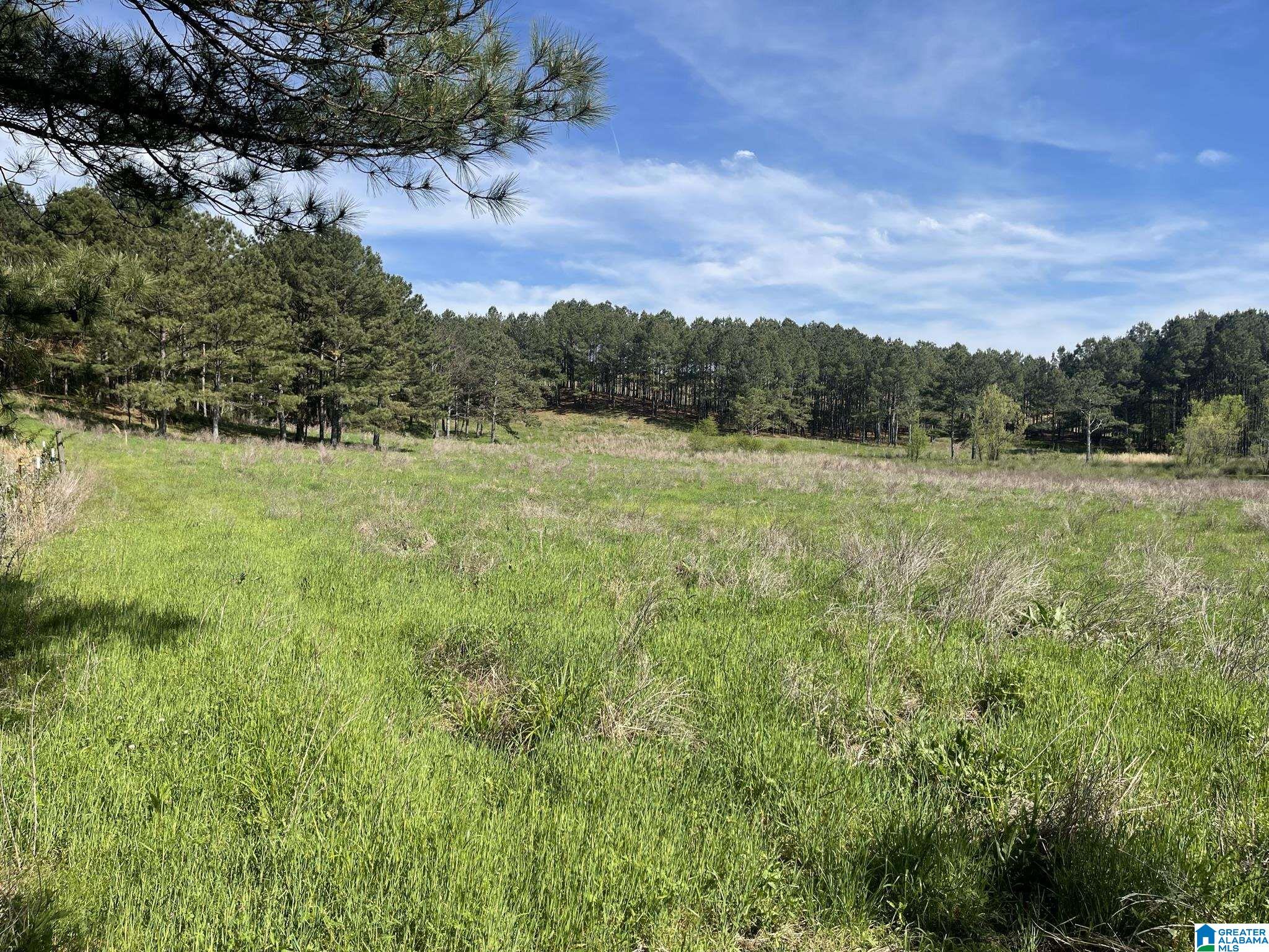 0 Busby Cut Off Road Nauvoo, AL 35578 - Photo 4 of 7