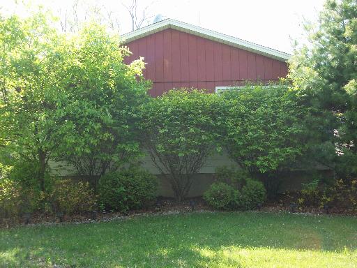14348 Ridgeway Avenue Midlothian, IL 60445 - Photo 1 of 12