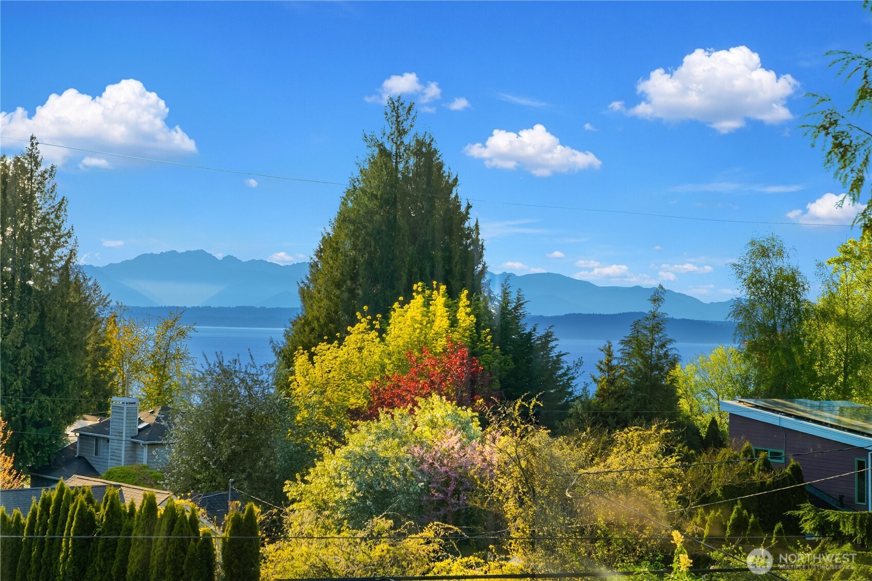 4014 Southwest 98th Street Seattle, WA 98136 - Photo 15 of 36