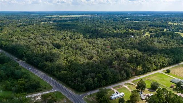 a view of a lush green forest with lots of trees