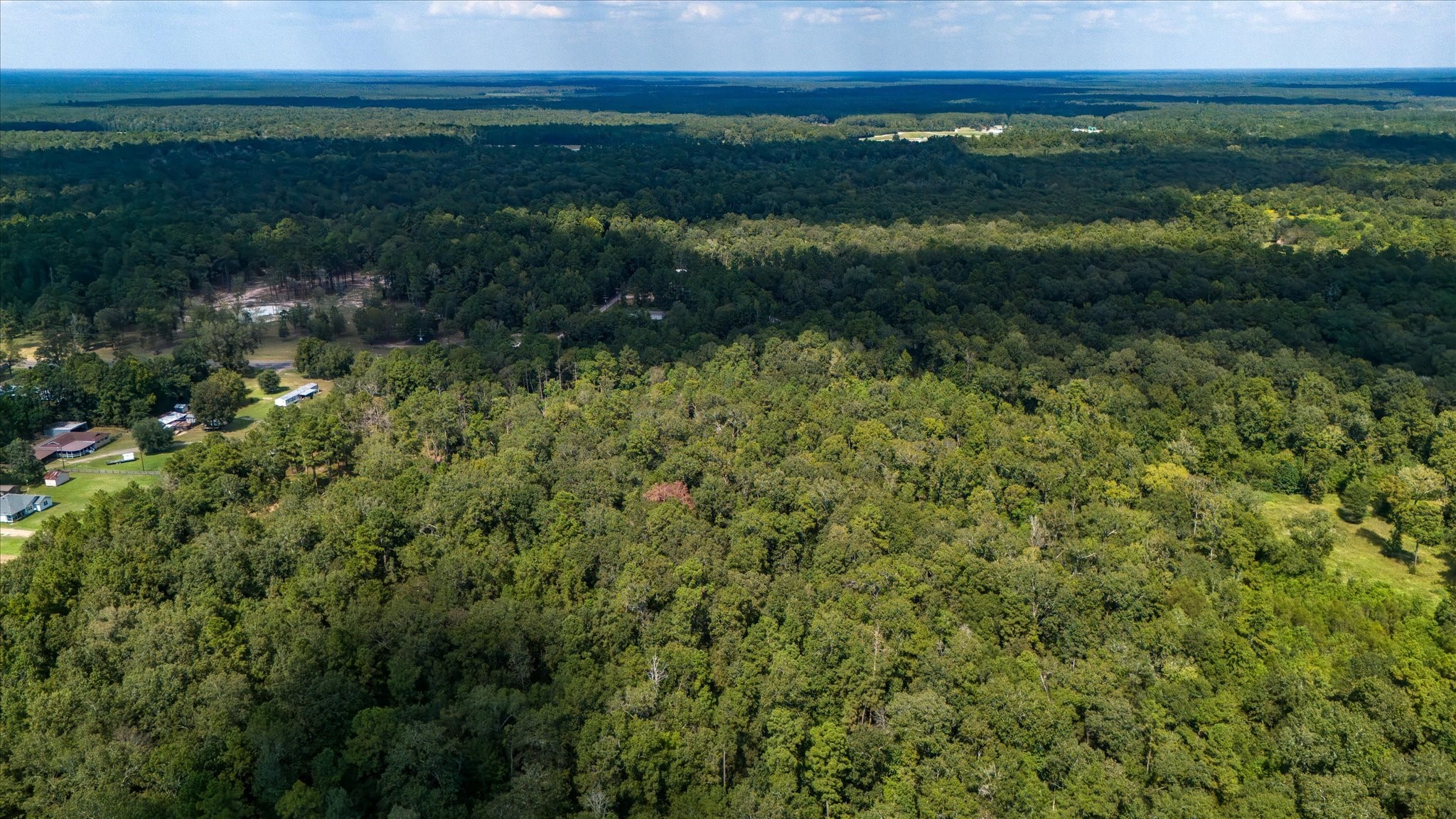 0 Lemon Fregia Road Hull, TX 77564 - Photo 19 of 26