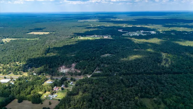 a view of a lush green yard