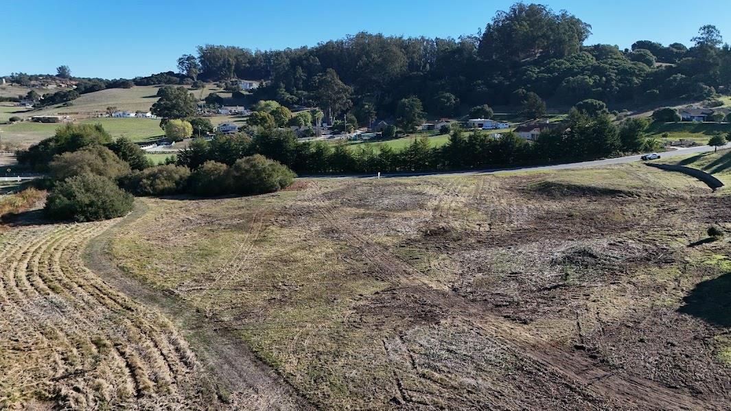 10706 Country Meadows Road Salinas, CA 93907 - Photo 12 of 13 a view of a dry yard with trees