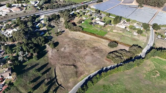 a view of a yard with plants and flowers