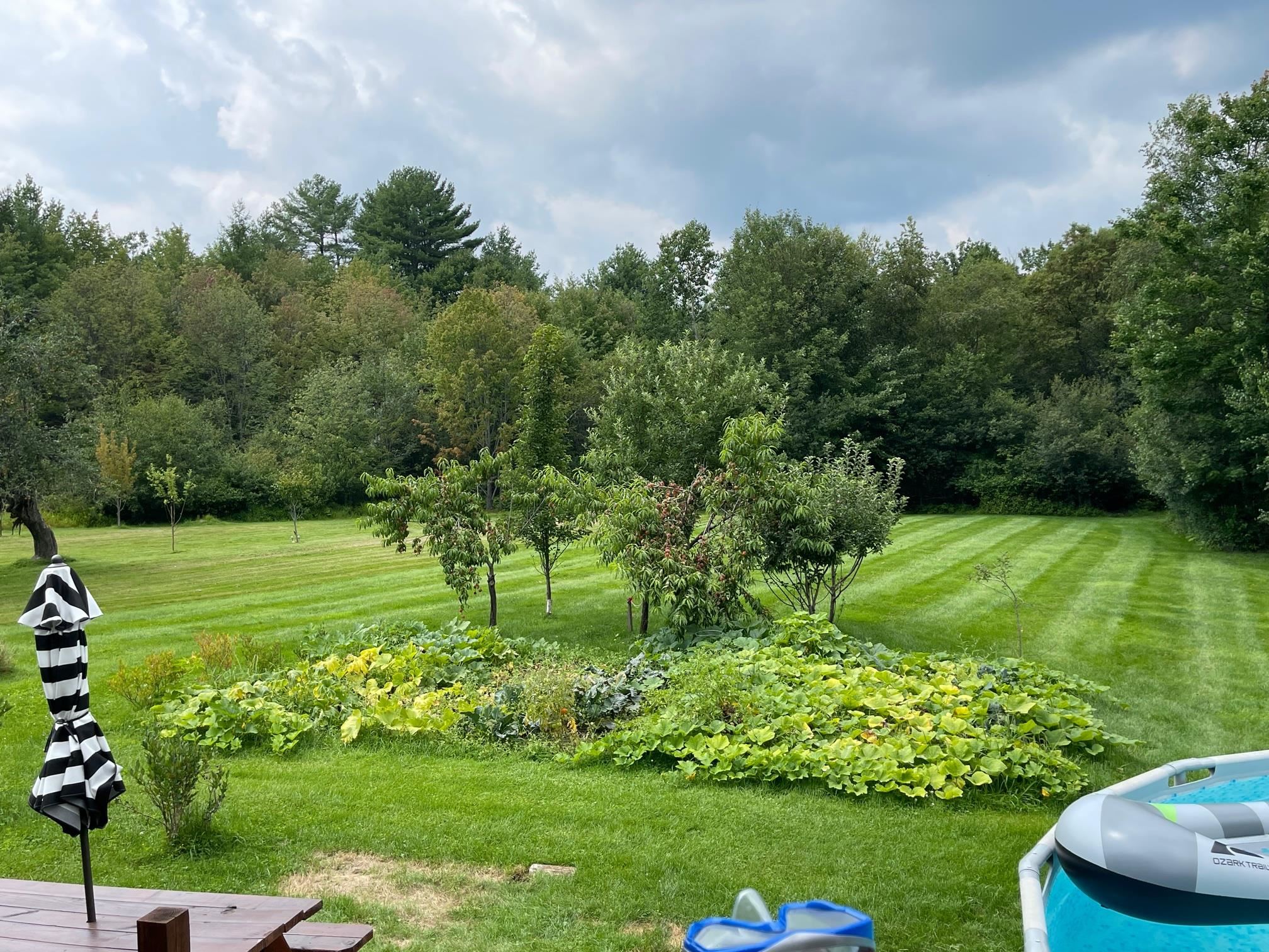 325 Salmon Falls Road Rochester, NH 03868 - Photo 3 of 28