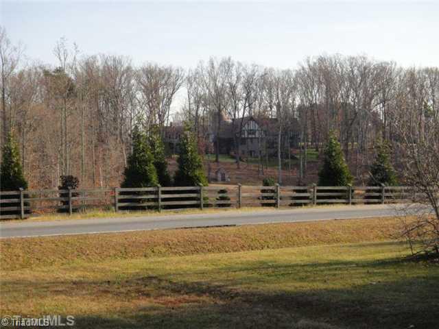 8337 Witty Road Summerfield, NC 27358 - Photo 15 of 16 Yard/Garden.