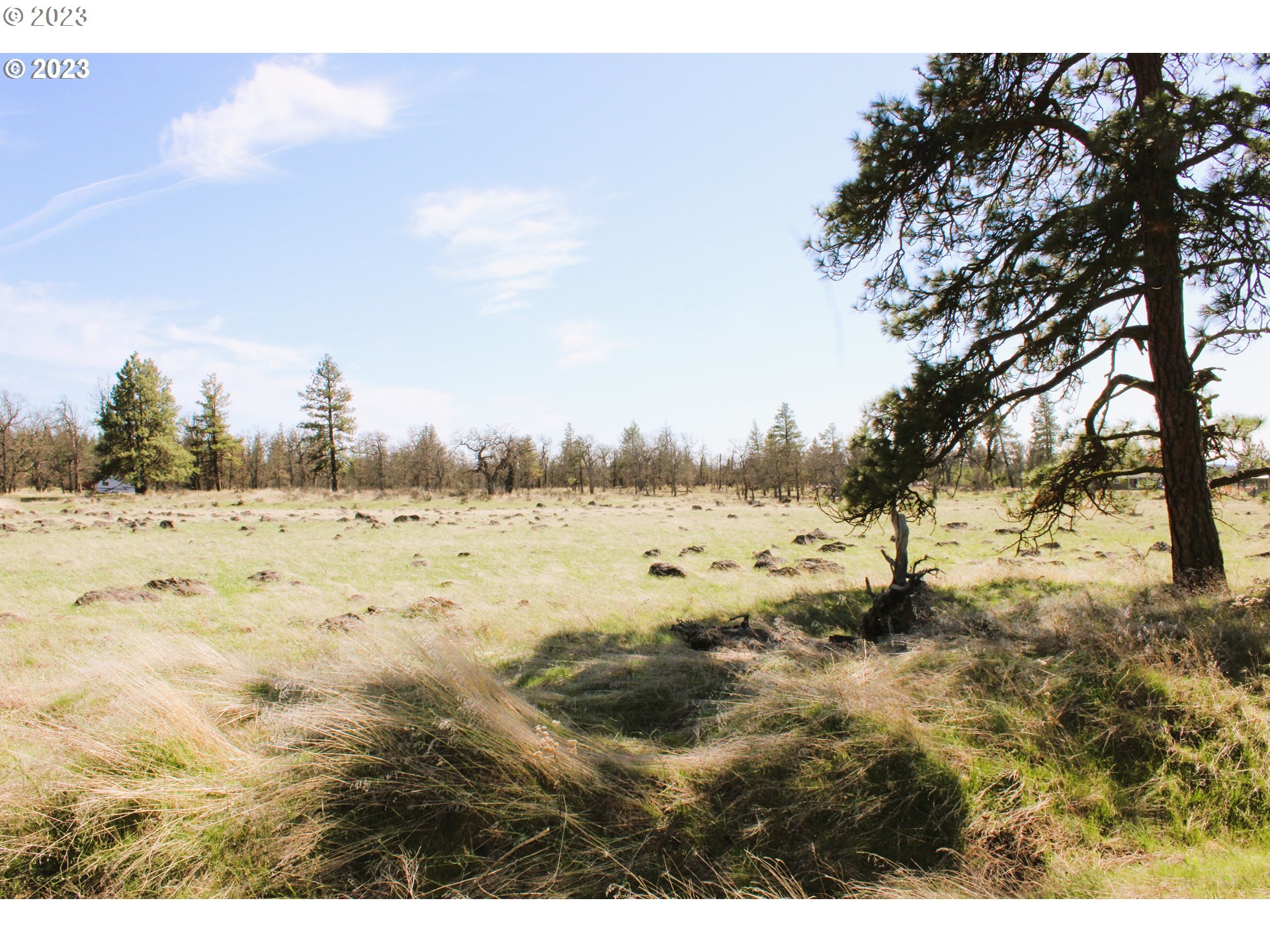 Old Stage Road Goldendale, WA 98620 - Photo 3 of 5 Gallery Image 3