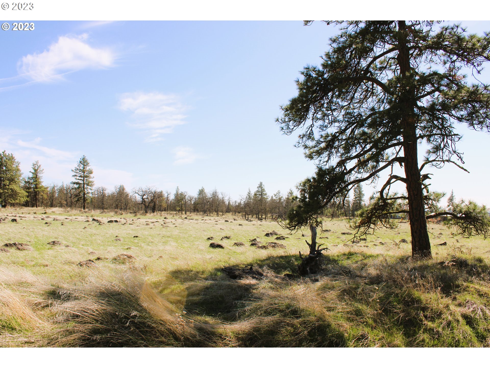 Old Stage Road Goldendale, WA 98620 - Photo 5 of 5 Gallery Image 5