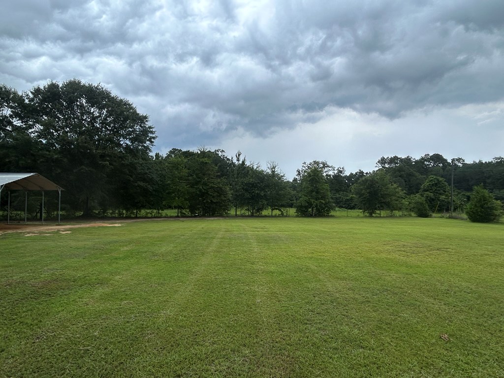 475 Gary Road Slocomb, AL 36375 - Photo 40 of 59
