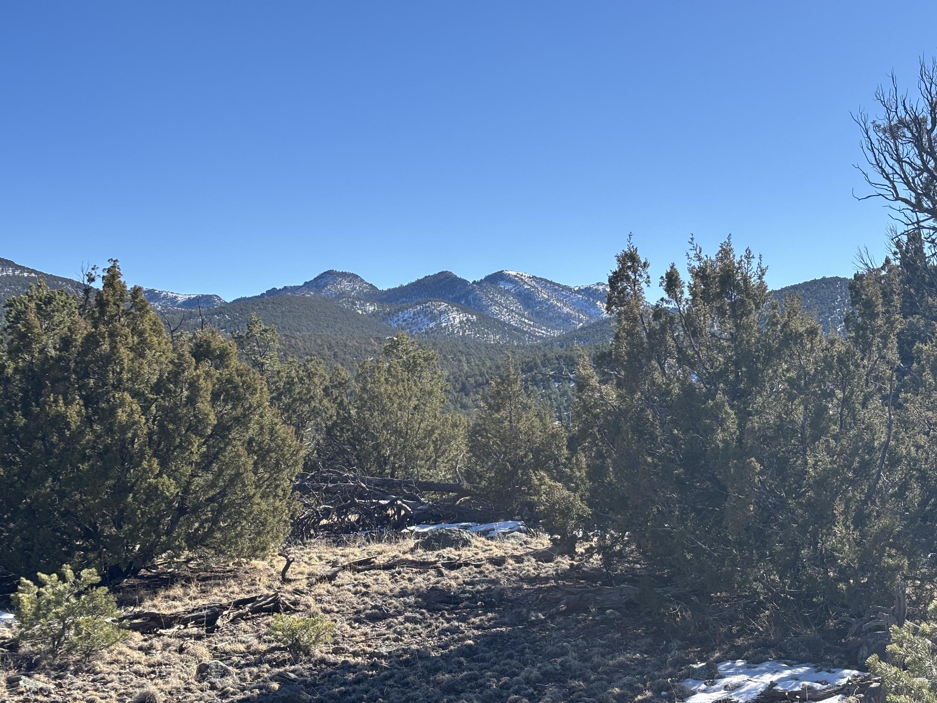 12 Kit Road, Unit 2I Datil, NM 87821 - Photo 1 of 1 Gallery Image 1
