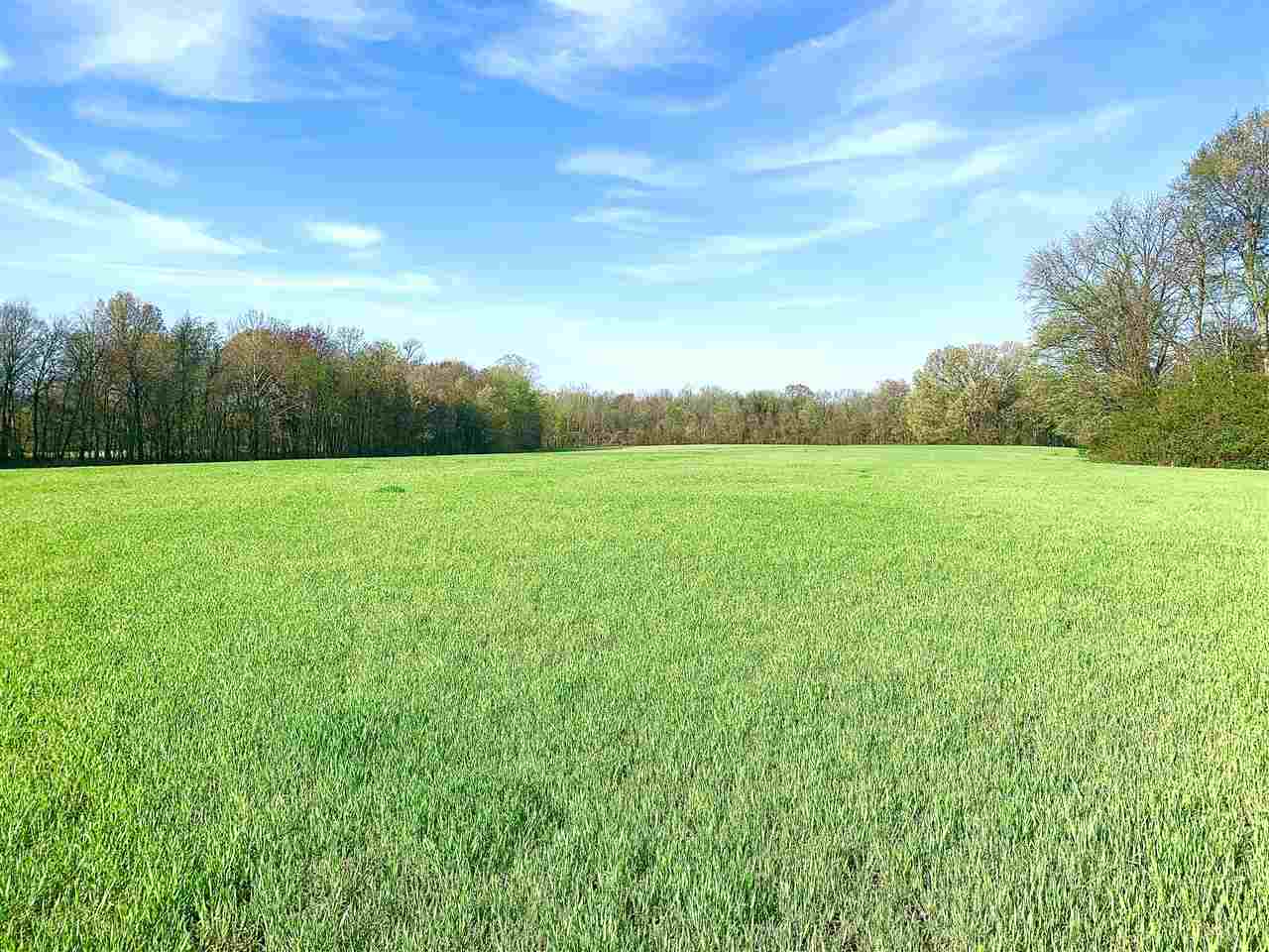 3605 Fite Road Millington, TN 38053 - Photo 1 of 13 Gallery Image 1