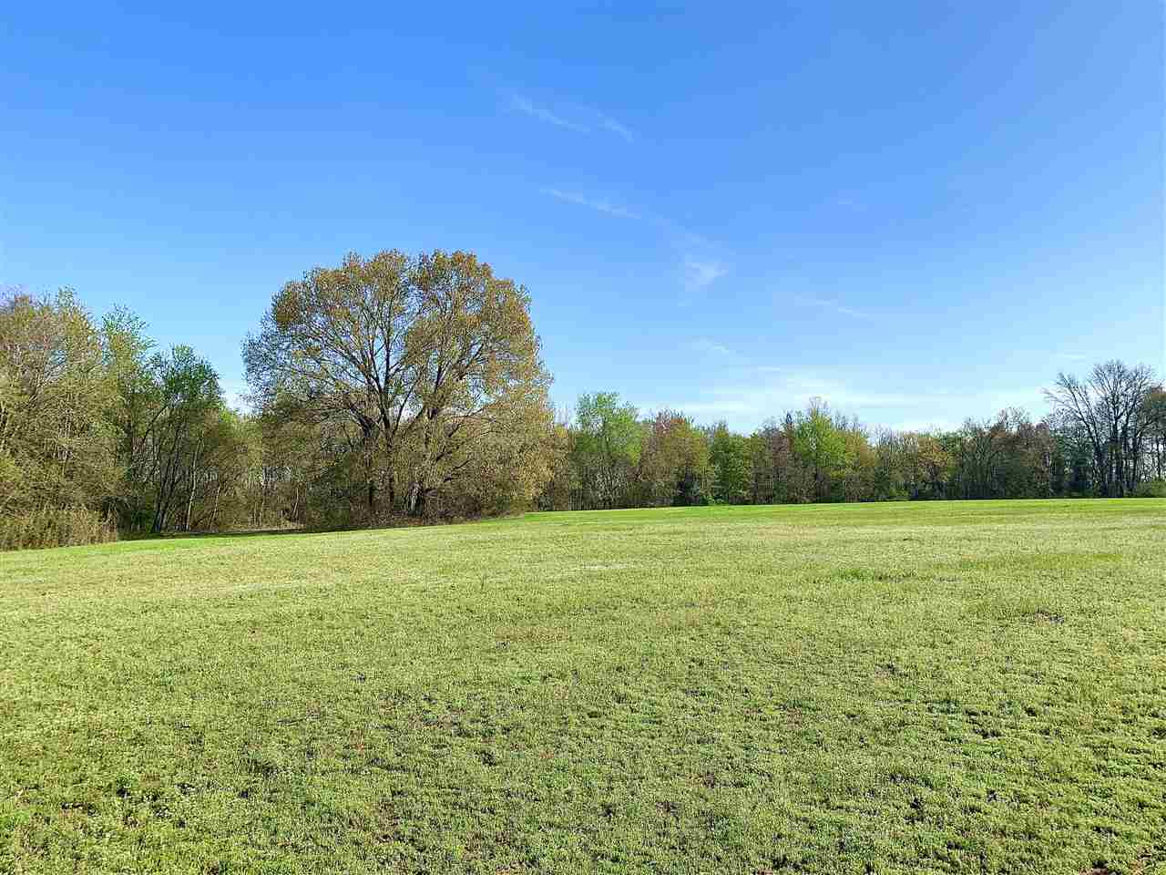 3605 Fite Road Millington, TN 38053 - Photo 2 of 13 Gallery Image 2