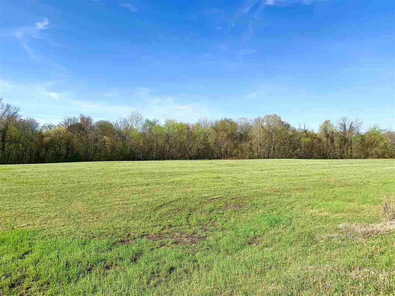 3605 Fite Road Millington, TN 38053 - Photo 11 of 13 Gallery Image 11