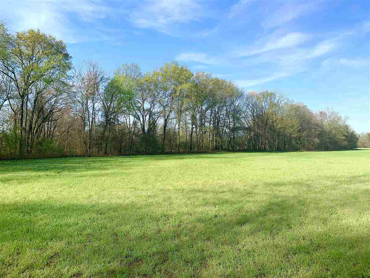 3605 Fite Road Millington, TN 38053 - Photo 3 of 13 Gallery Image 3