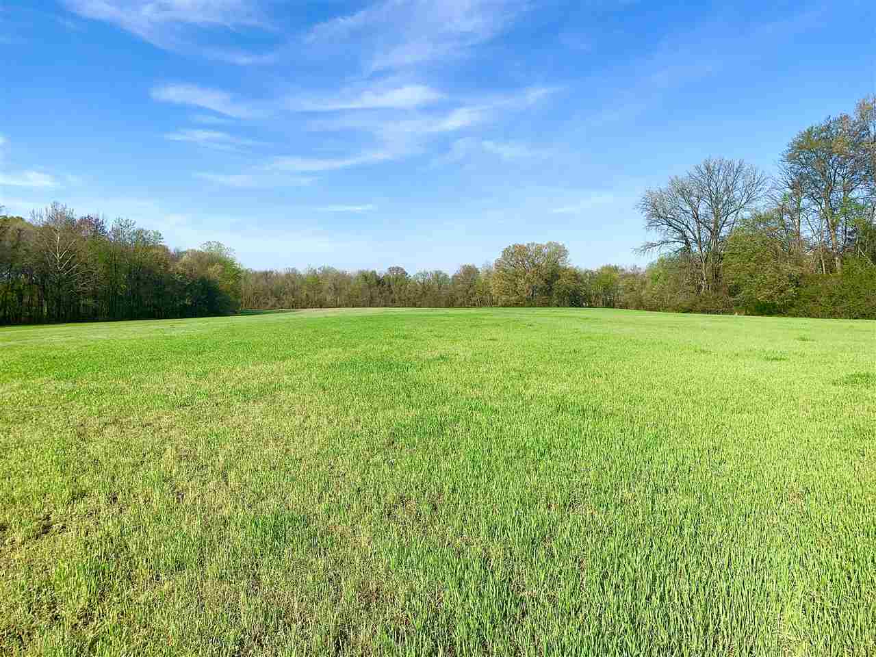 3605 Fite Road Millington, TN 38053 - Photo 4 of 13 Gallery Image 4