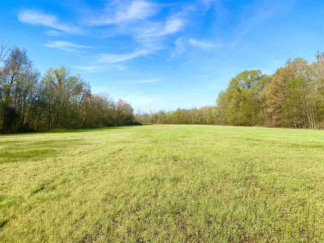 3605 Fite Road Millington, TN 38053 - Photo 5 of 13 Gallery Image 5