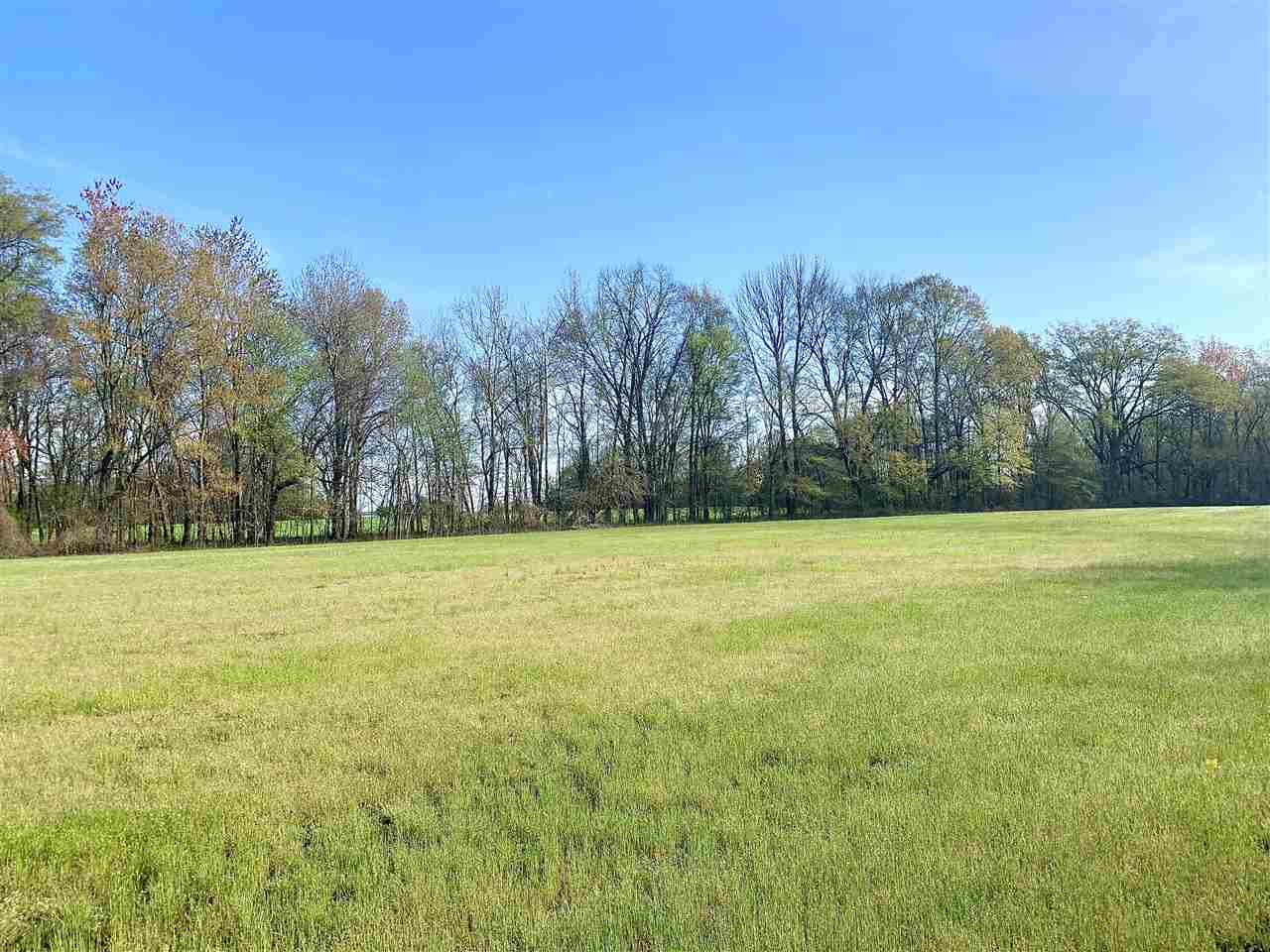 3605 Fite Road Millington, TN 38053 - Photo 6 of 13 Gallery Image 6