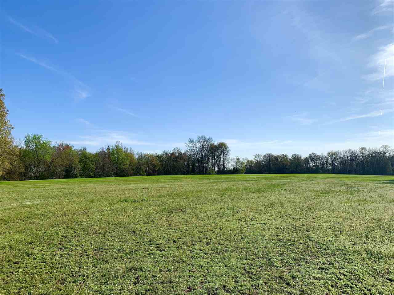 3605 Fite Road Millington, TN 38053 - Photo 8 of 13 Gallery Image 8