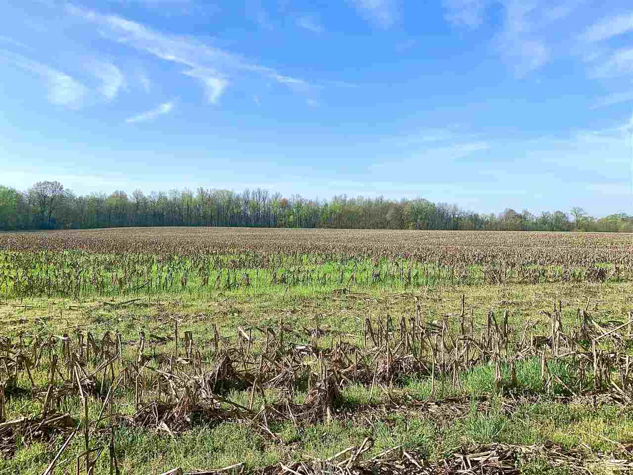 3605 Fite Road Millington, TN 38053 - Photo 9 of 13 Gallery Image 9