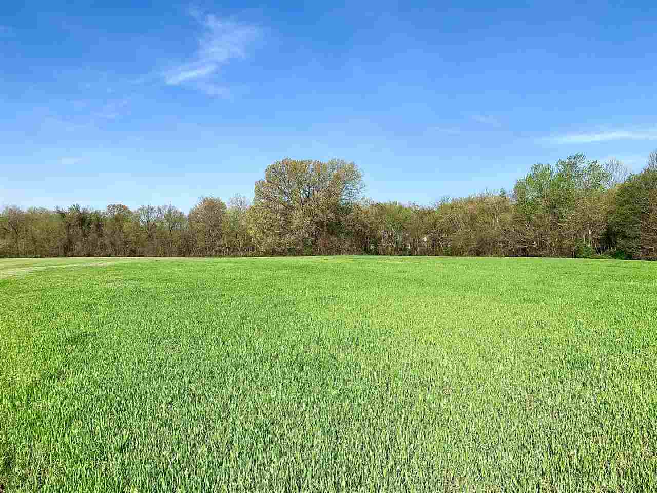3605 Fite Road Millington, TN 38053 - Photo 10 of 13 Gallery Image 10