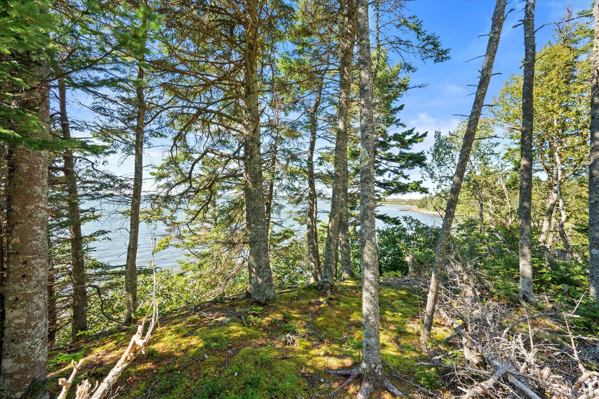 Lot 15 Ackley Road Cutler, ME 04626 - Photo 17 of 23 Lot 15 Ackley Rd. Cutler