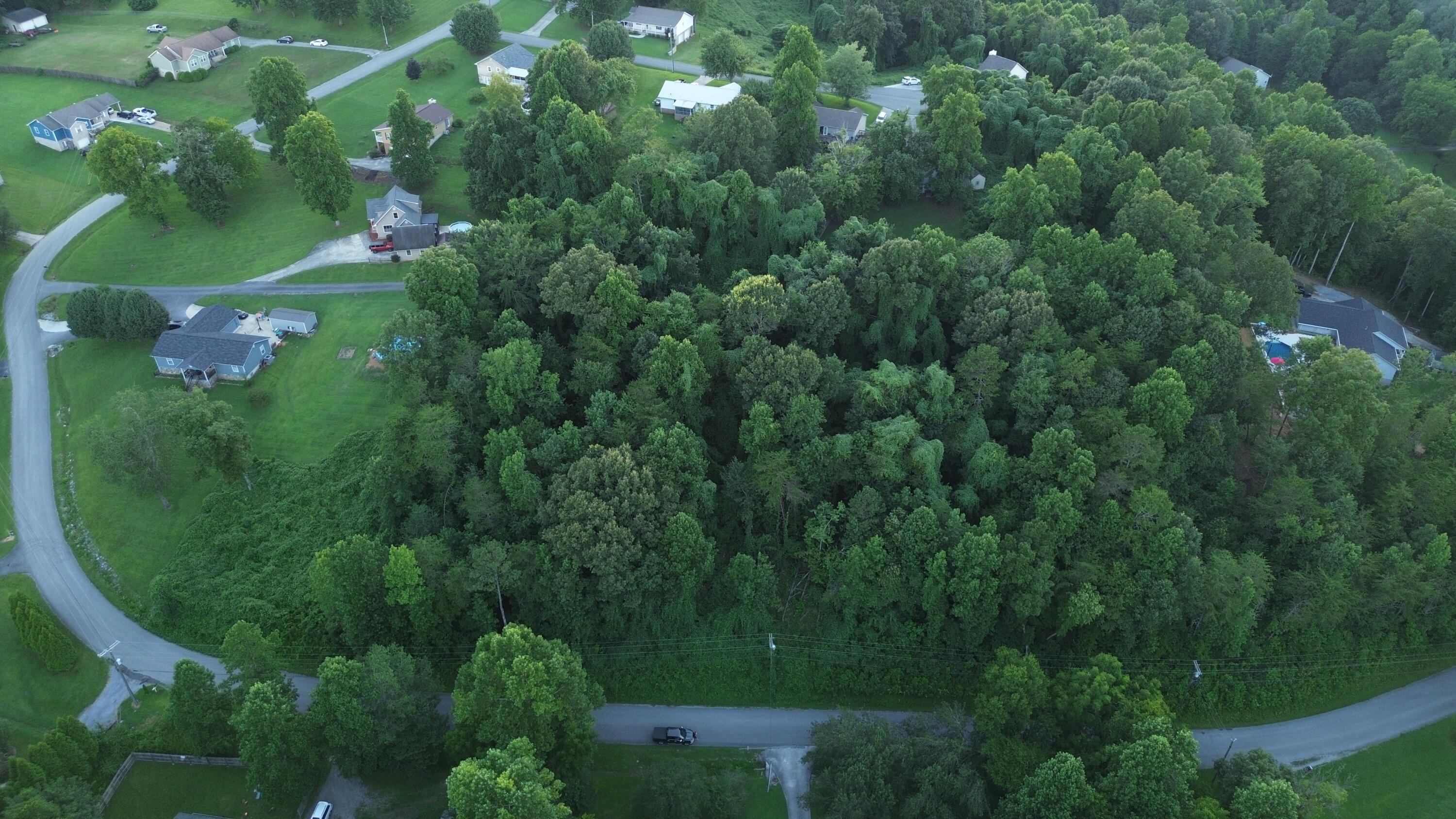 556 Ashley Lane Dayton, TN 37321 - Photo 3 of 4 DJI_0817