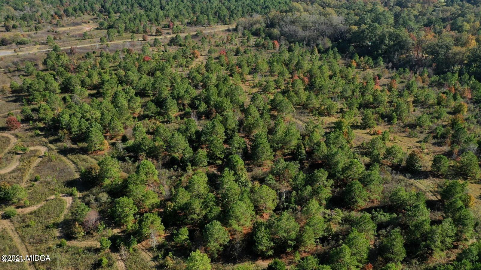 125 Hill Road Perry, GA 31069 - Photo 8 of 11 20191119120451680504000000-o