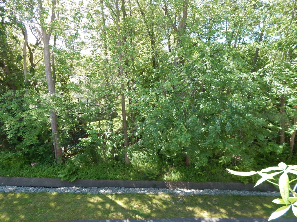 125 Chapin Road, Unit 2D Hudson, MA 01749 - Photo 11 of 30 Gallery Image 11
