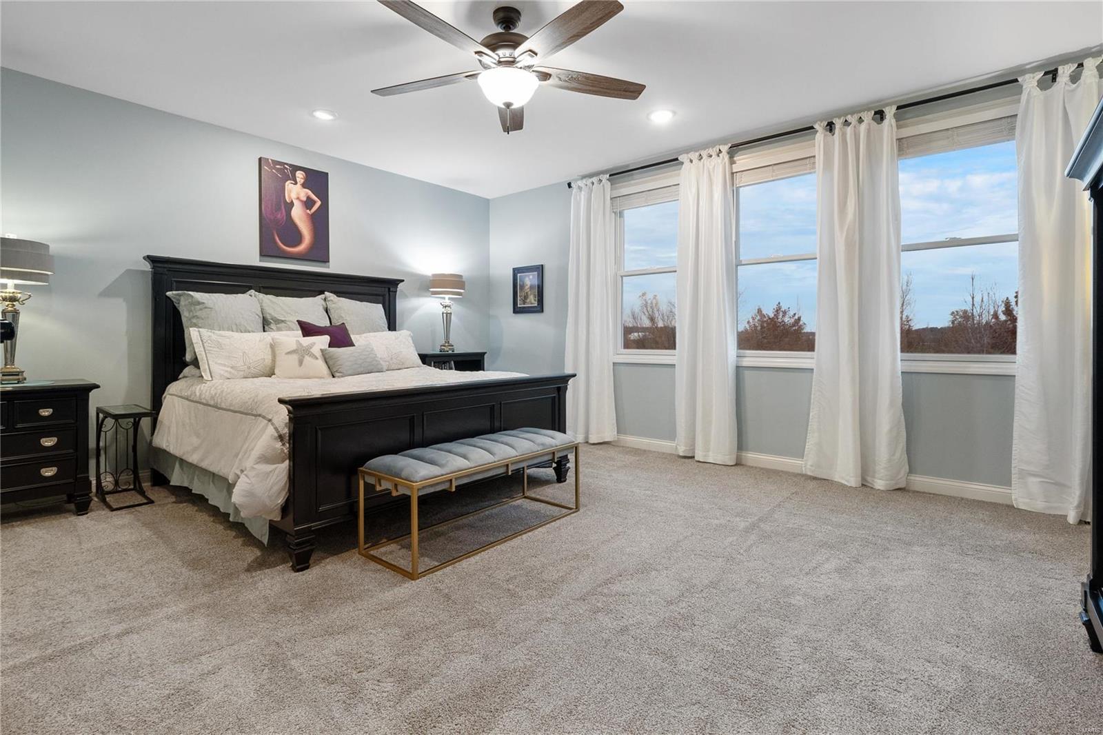 117 Riggs Street St. Charles, MO 63301 - Photo 35 of 64 Gallery Image 35