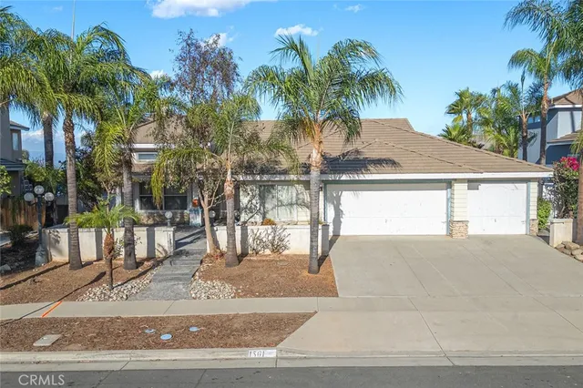 a palm tree sitting in front of a house with palm trees