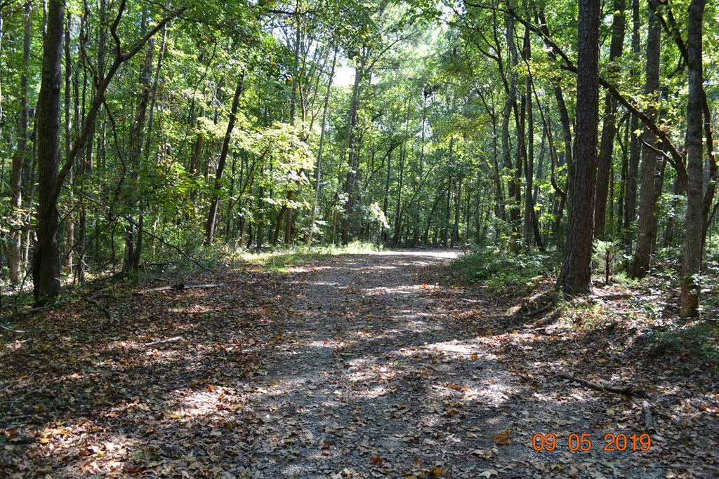 0 Oak Dr Pine Mountain Hamilton, GA 31811 - Photo 1 of 5 Main View