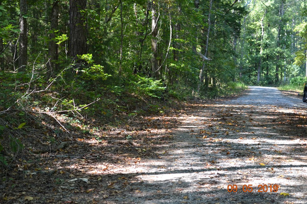 0 Oak Dr Pine Mountain Hamilton, GA 31811 - Photo 2 of 5