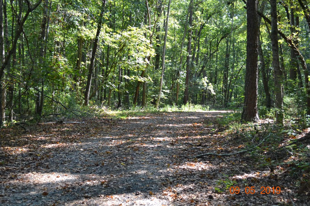 0 Oak Dr Pine Mountain Hamilton, GA 31811 - Photo 3 of 5