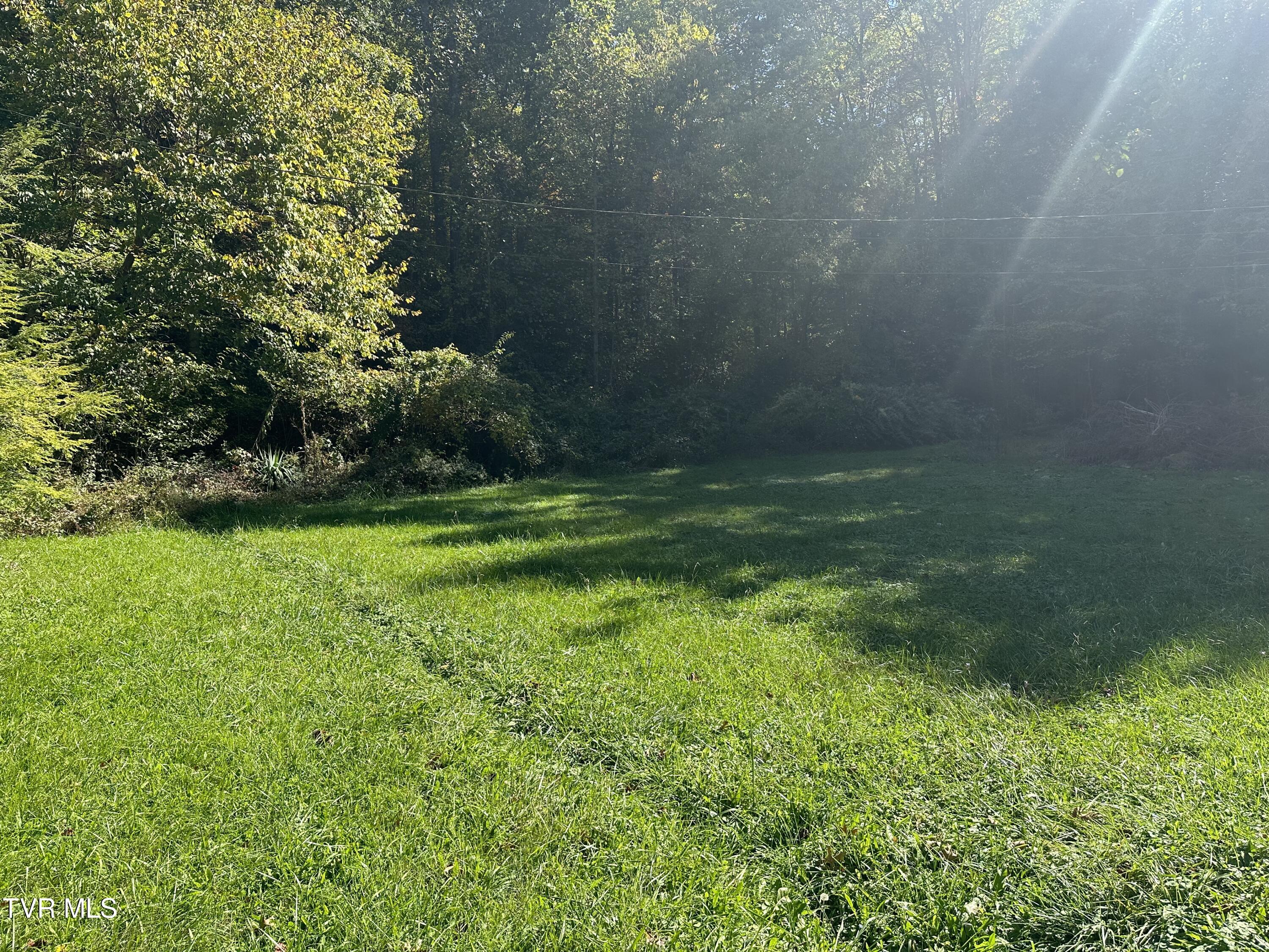 1847 Powder Branch Road Johnson City, TN 37601 - Photo 3 of 9 IMG_9147