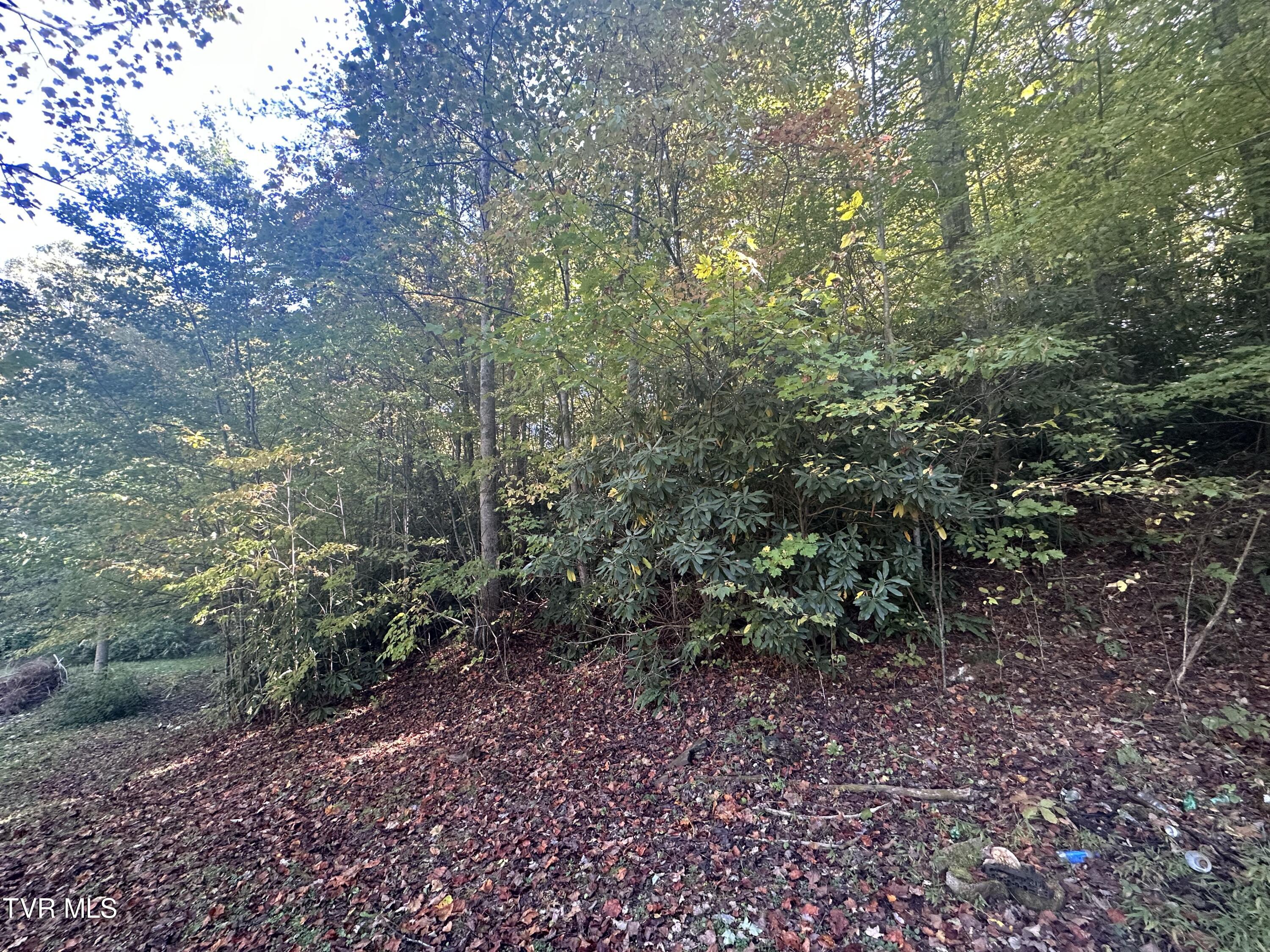 1847 Powder Branch Road Johnson City, TN 37601 - Photo 7 of 9 IMG_9152