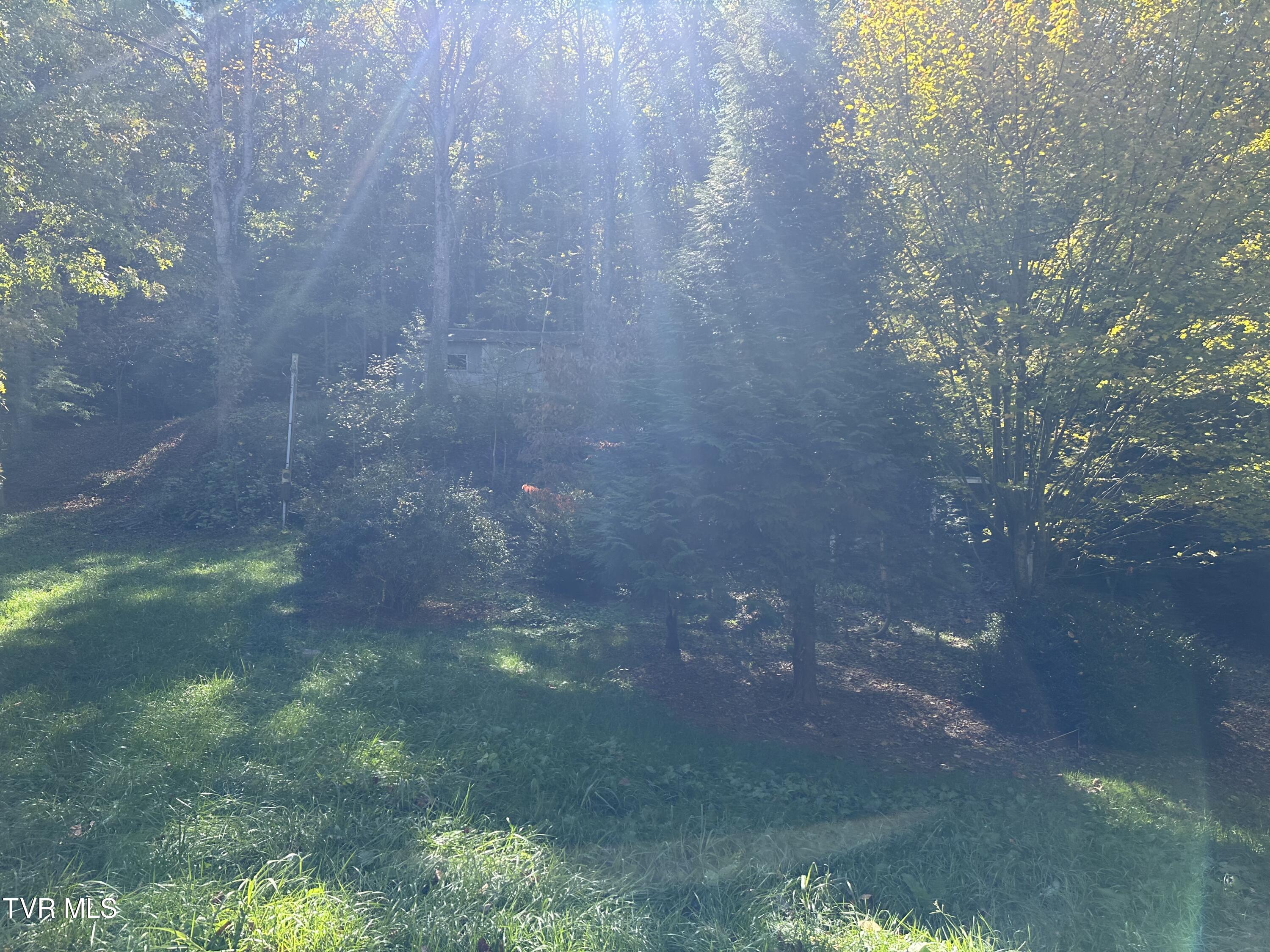 1847 Powder Branch Road Johnson City, TN 37601 - Photo 8 of 9 IMG_9153