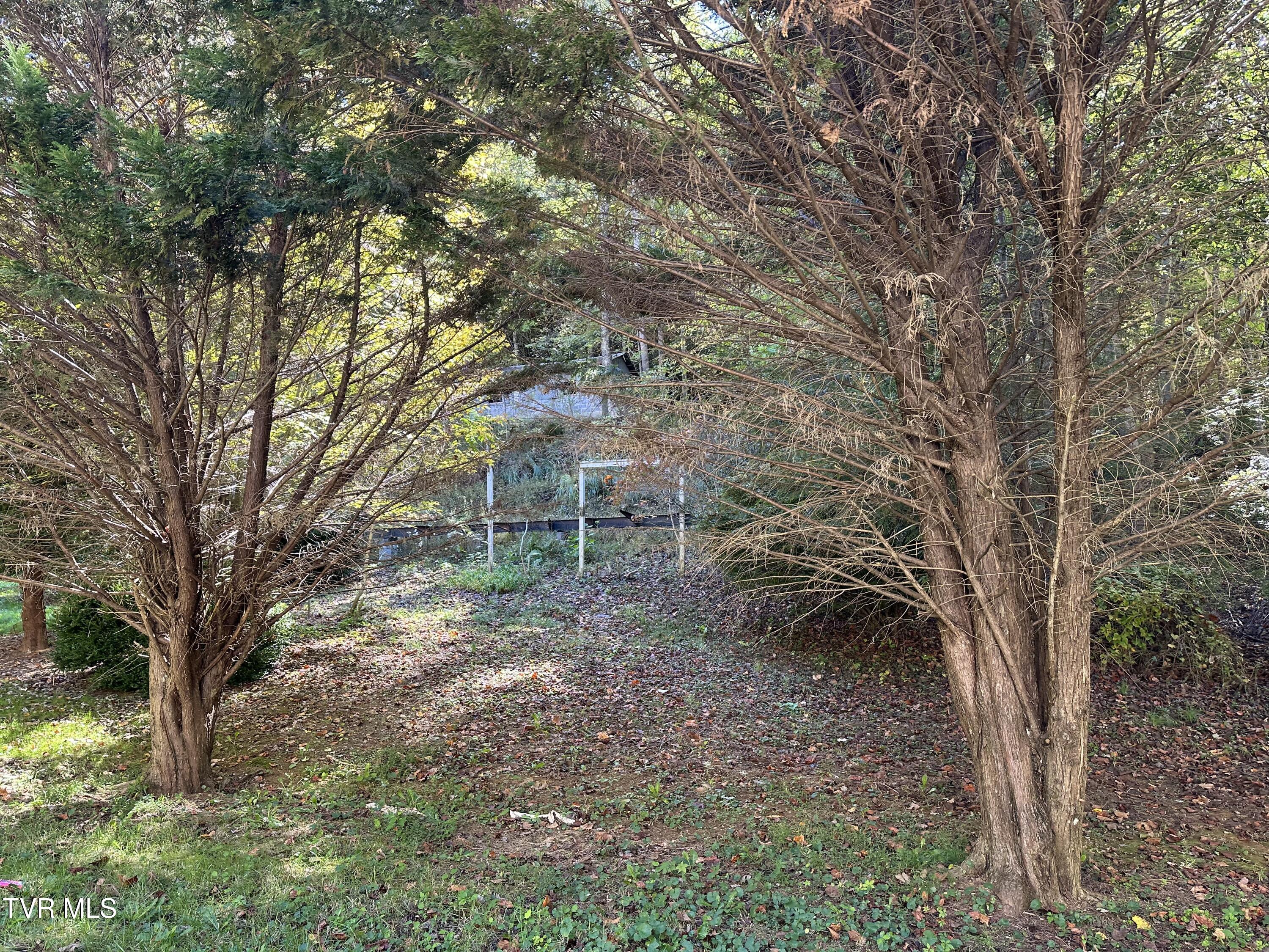 1847 Powder Branch Road Johnson City, TN 37601 - Photo 9 of 9 IMG_9154