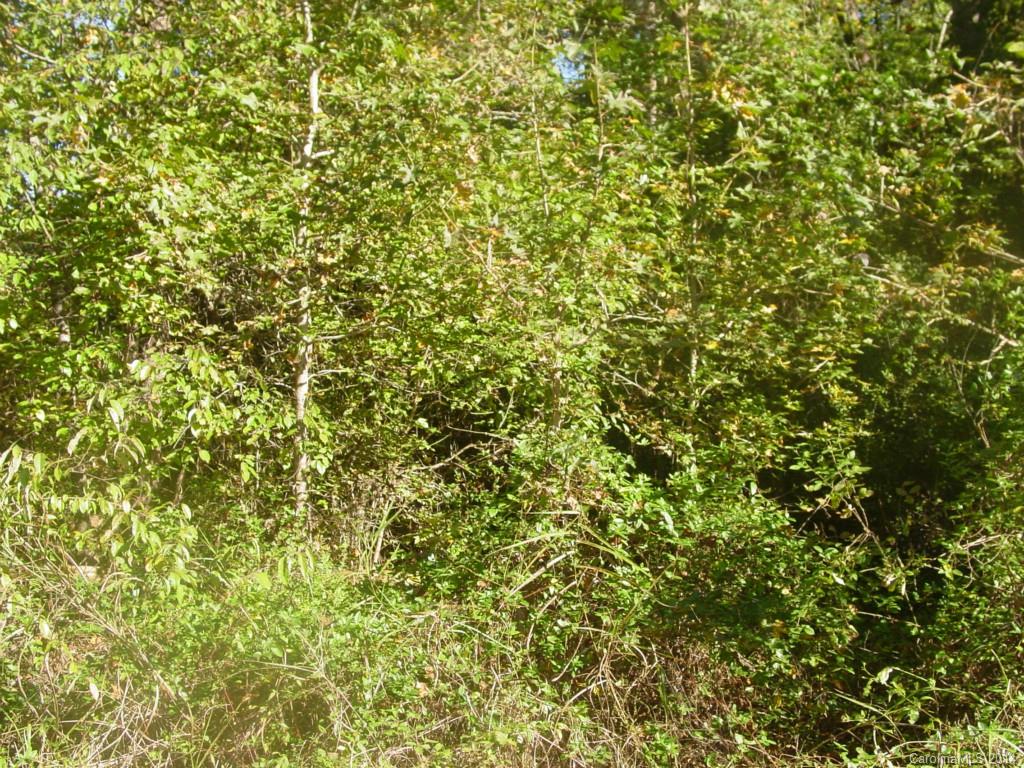 221 High Ridge Circle Maiden, NC 28650 - Photo 1 of 1 Gallery Image 1