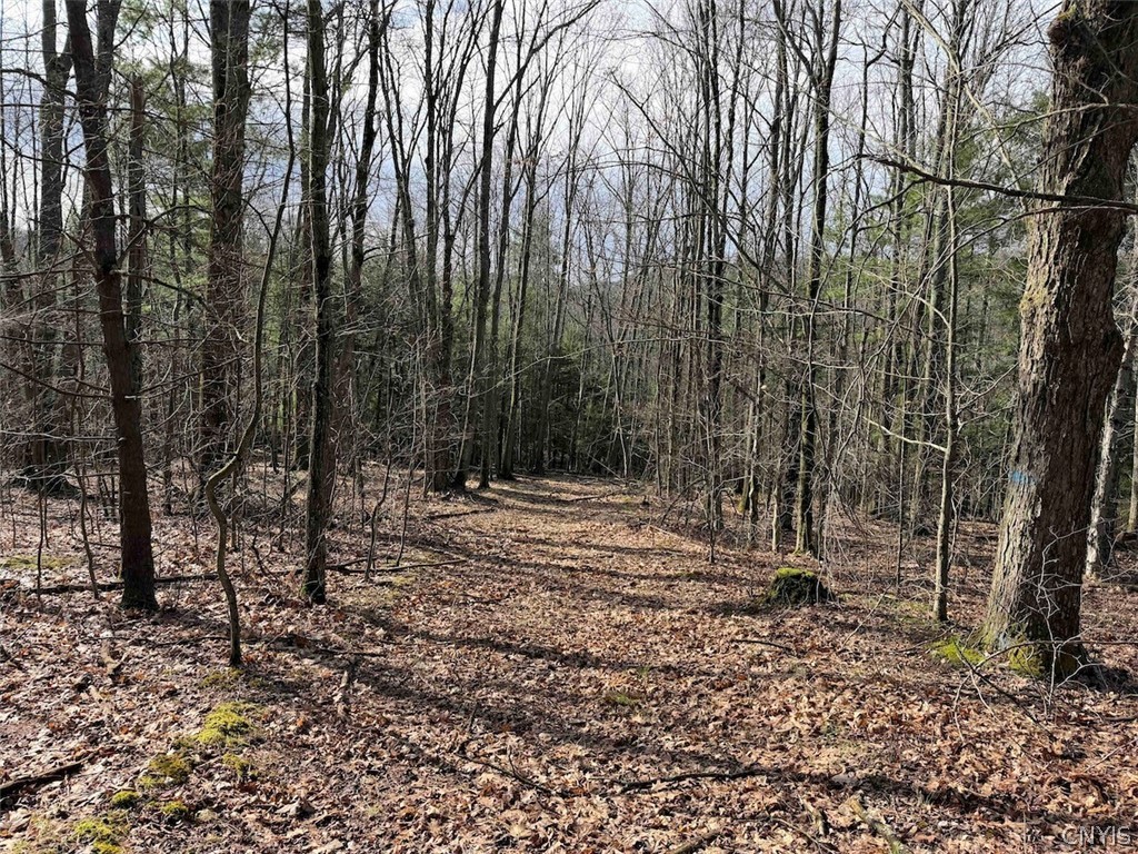 Mccann Hollow Road Olean, NY 14760 - Photo 33 of 38
