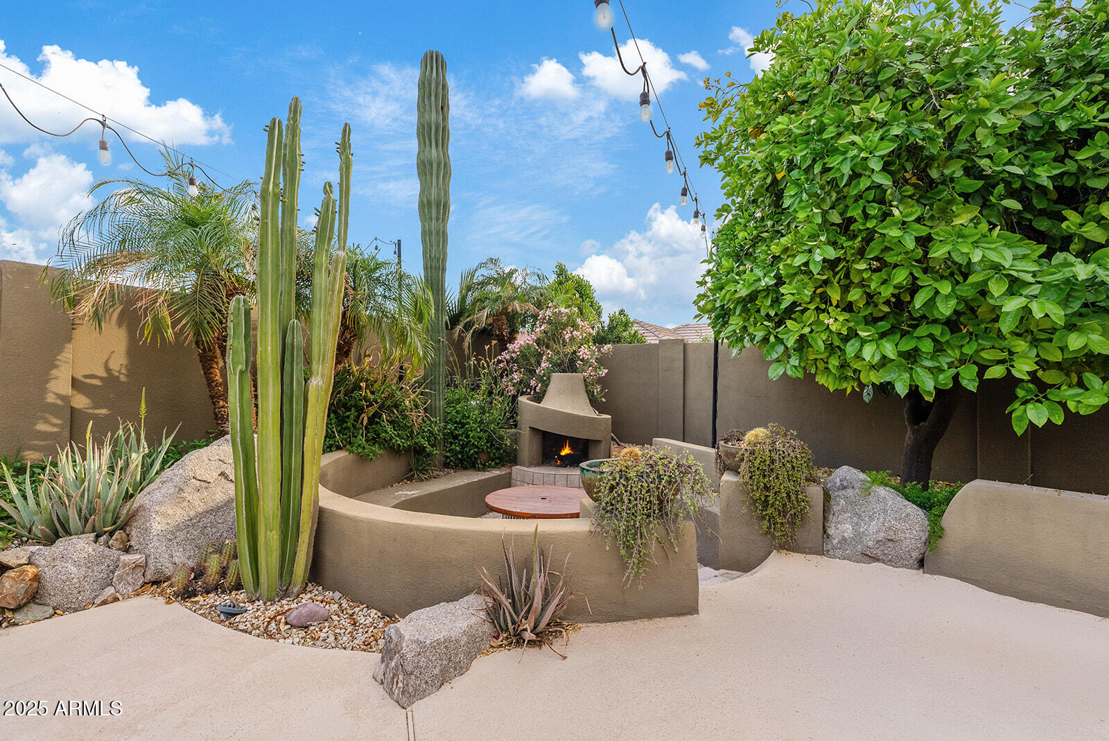 4055 North Recker Road, Unit 82 Mesa, AZ 85215 - Photo 41 of 62 Backyard