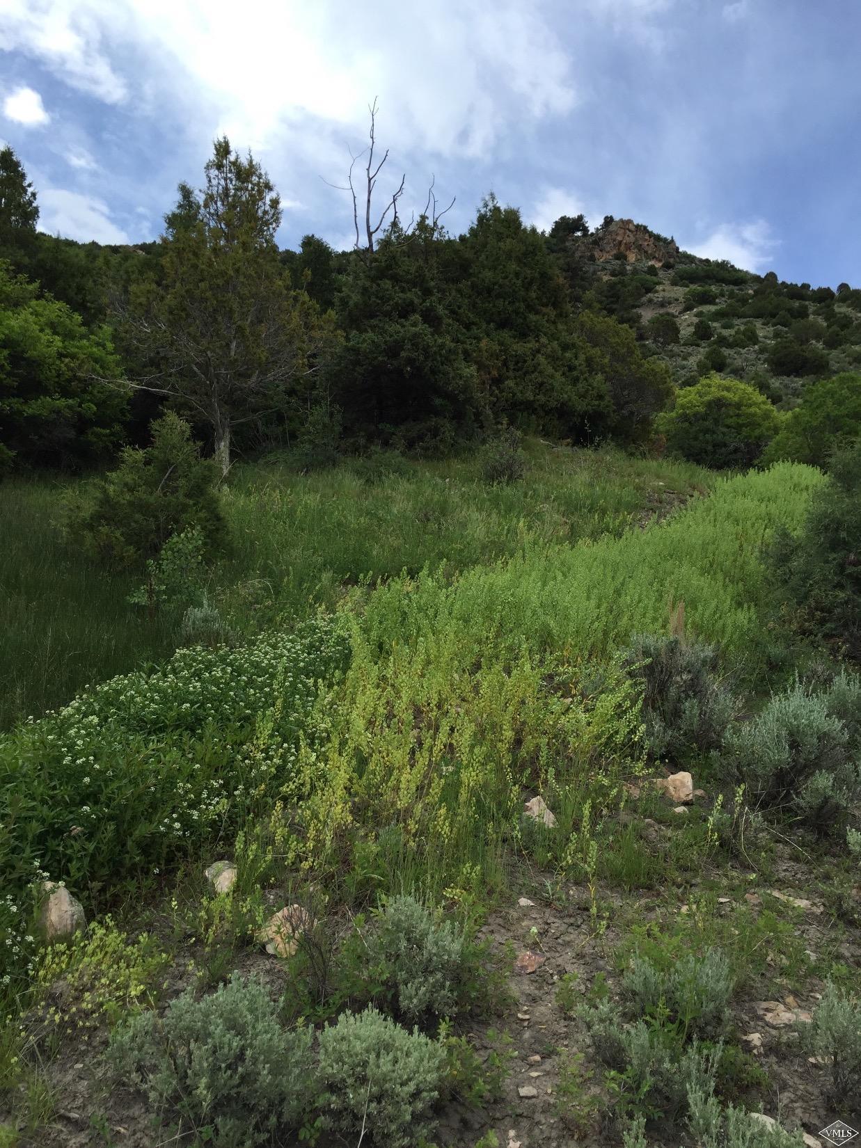 2990 Salt Creek Road Eagle, CO 81631 - Photo 16 of 20 Additional Photo