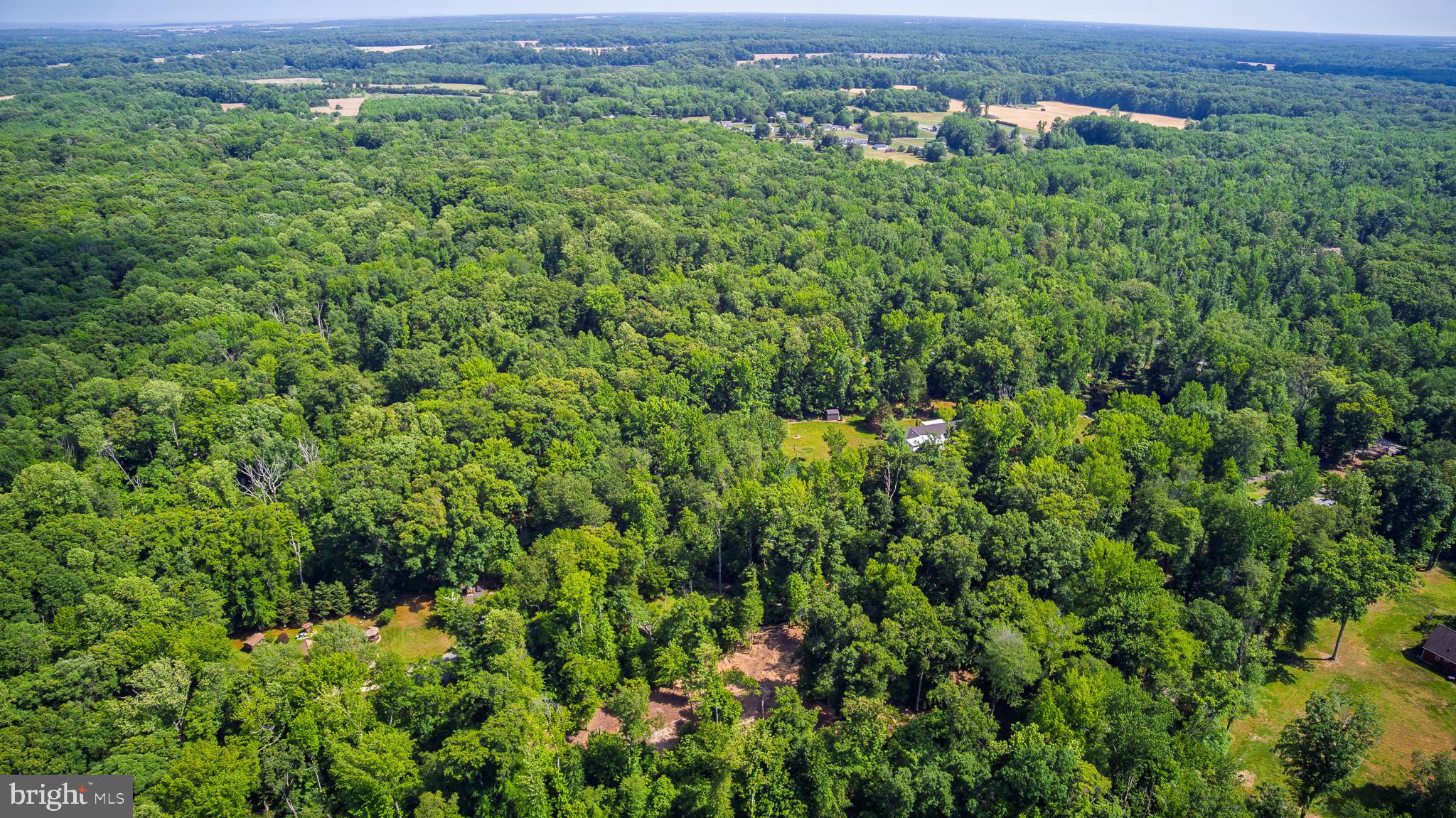 583 Blackbird Landing Road Townsend, DE 19734 - Photo 8 of 11 Aerial View
